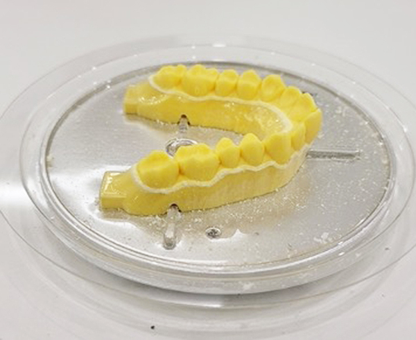 T-Load-Cell-in-Orthodontic-Testing-3